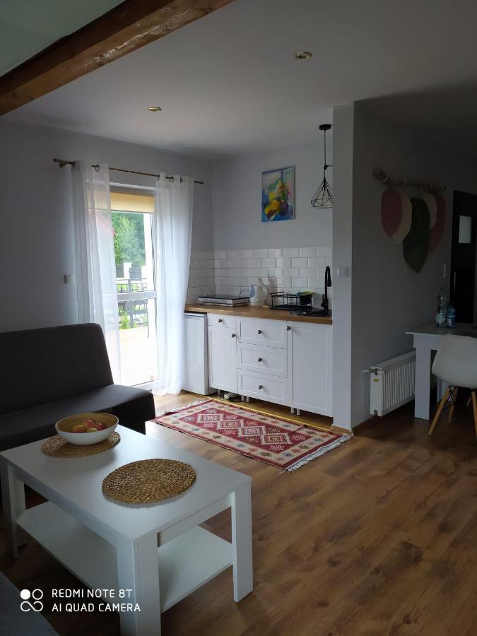 דירות Lądek-Zdrój Apartament Radochow 138G מראה חיצוני תמונה